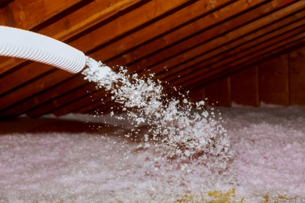  San Luis, AZ Insulation Contractor Pros