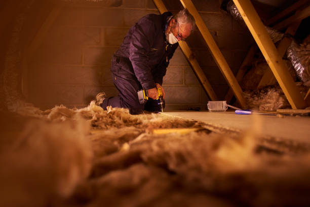Best Commercial Insulation in San Luis, AZ